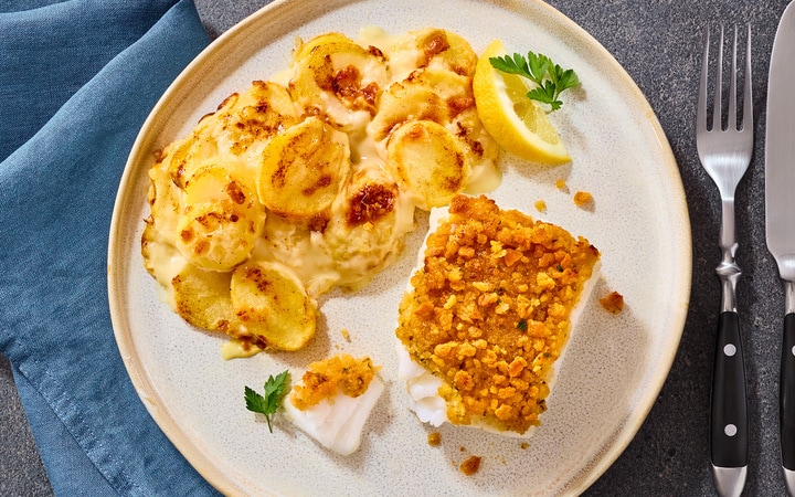 Filet de poisson à la bordelaise (Numéro d’article 20041)